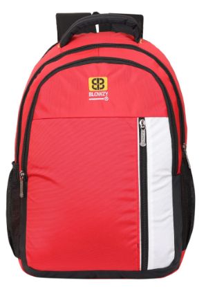 Picture of Blowzy Laptop Backpack | Men | Women | 15 inch Laptop Compatible | 3 compartments | Office Business Casual Bagpack