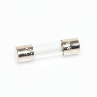 Picture of Amana Commerical Fuse 2.5 Amp Part# 20031701