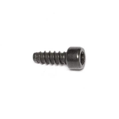 Picture of Amana Commerical Screw-tc/socket Torx Part# 20095801