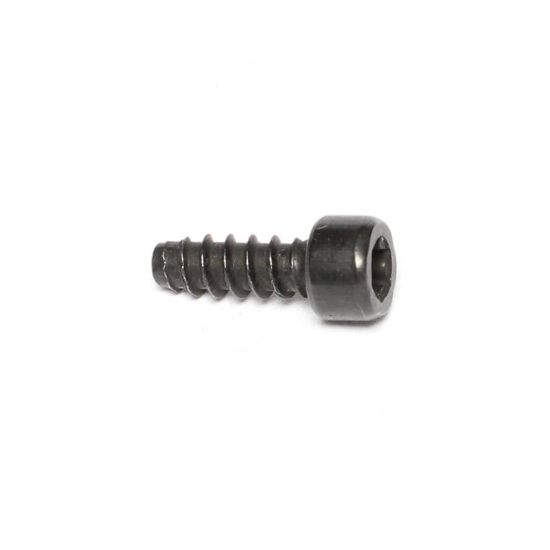 Picture of Amana Commerical Screw-tc/socket Torx Part# 20095801