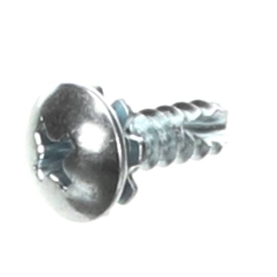 Picture of Amana Commerical Screw-metric/truss Part# 20275402