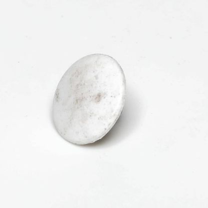 Picture of Amana Commerical Plug, Button .Wht. Part# M0310305