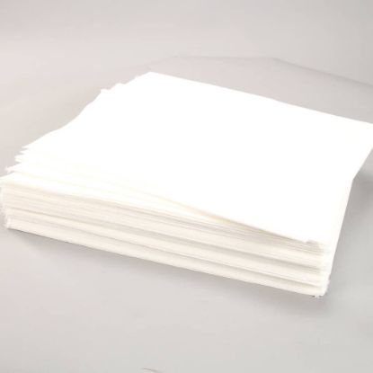 Picture of Anets Filter Envelope 12.25 X 17(5) Part# P9315-80