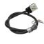 Picture of Antunes Assembly, Power Cord Part# 13845