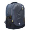 Picture of Blowzy Bags 35L Water Resistant Casual Backpack - 3 Compartments, Anti - Theft Internal Organiser, 1 Year Warranty (Grey)