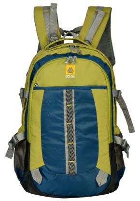 Picture of Zipline 45L, 20 inch Green Backpack for Men & Women college girls boys polyester Airline carry-on size