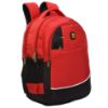 Picture of Blowzy Bags Water Resistant College School Book Bag Laptop Computer, Travel Backpacks Laptop Bag for Women Men