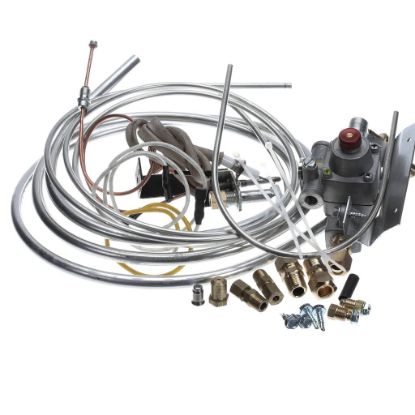 Picture of American Range Kit,upgrade Spark Module-ts11 Part# A37833