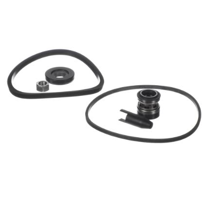 Picture of Armstrong E2 Seal Kit Part# 880202-677K