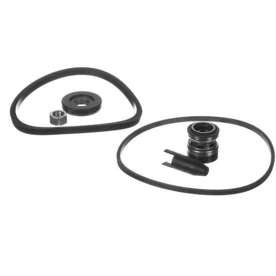 Picture of Armstrong E2 Seal Kit Part# 880202-677K