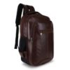 Picture of Bagneeds Medium 30 L Laptop Backpack Trending Laptop Backpack Spacy unisex backpack Casual School/Travel Backpack for Unisex (BROWN)