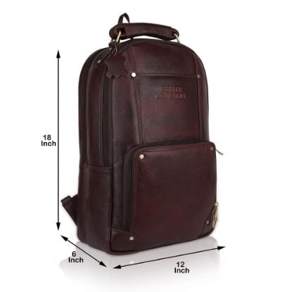 Picture of DORPER MONEY HILL Leather Executive Office Backpack Water Resistant Anti Theft Laptop Bag/Backpack for Men/Women-24 Litres capacity (BROWN, Leather)