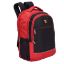 Picture of Blowzy Bags 25L Laptop Backpack Casual College Bag School Bags Backpack (Black)