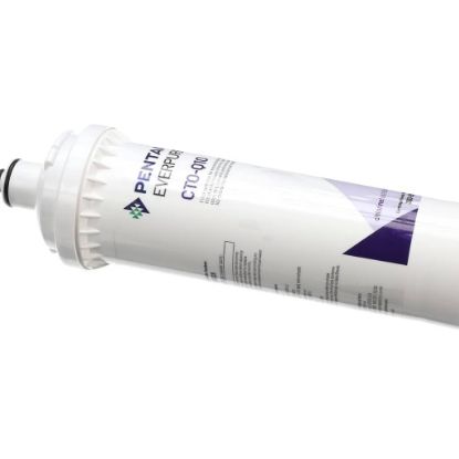 Picture of Alto Shaam Filter, Cto-q10 Part# FI-46937