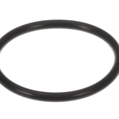 Picture of Alto Shaam Gasket Part# GS-39486