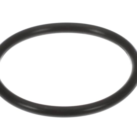 Picture of Alto Shaam Gasket Part# GS-39486