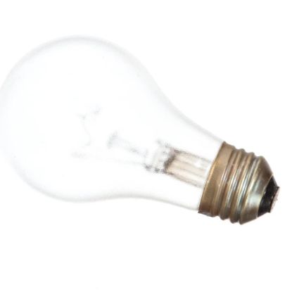 Picture of Alto Shaam Lamp,60w,130v,a19 Style,coated Part# LP-33598