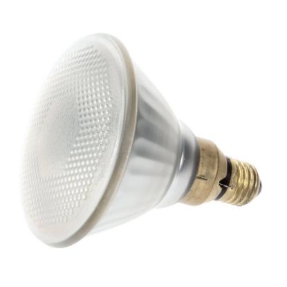 Picture of Alto Shaam Lamphalgn80watt240v Part# LP-33783
