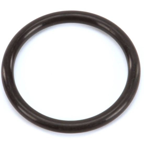 Picture of Alto Shaam Seals,ct,0-ring,ethyle,heater Part# SA-23932
