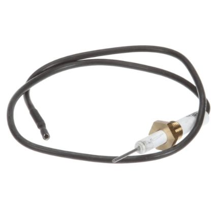 Picture of APW Wyott Electrode Part# 2065885