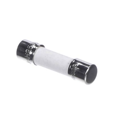 Picture of APW Wyott Fuse 10 Amp Part# 2E-1503050