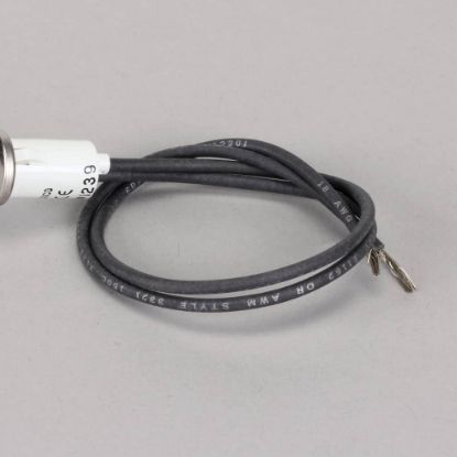 Picture of Bakers Pride Indicator Lamp; Amber 1/2;250V Part# 2E-P1167A