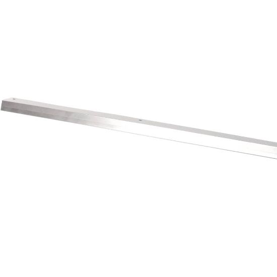 Picture of Bakers Pride Seal Left & Right Door Part# AS-21818176