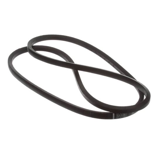 Picture of Baxter               Belt, V Part# 01-1000V3-00093