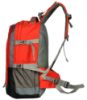 Picture of Zipline Casual Polyester 45L Backpack for Men Women college girls boys (1-Red Bag)