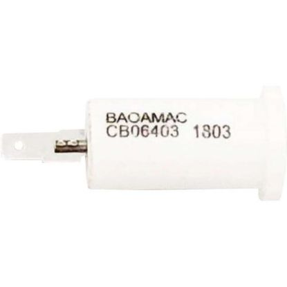 Picture of Bosch Igniter Part# 10008197