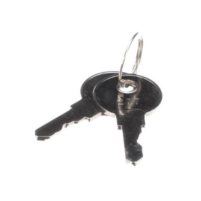 Picture of Beverage Air Keys W/out Lock For 401-401A Part# 401-821B