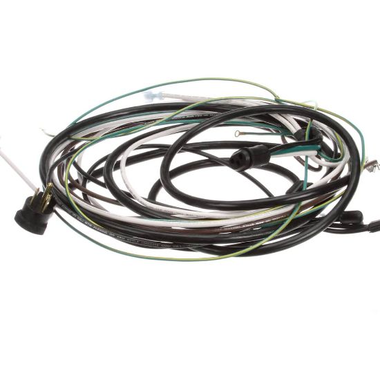 Picture of Beverage Air Harness - Wiring Sp60/72 Part# 504-764C