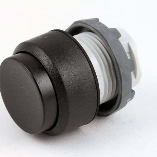 Picture of Blodgett Momentary Switch Pushbutton Part# 18295