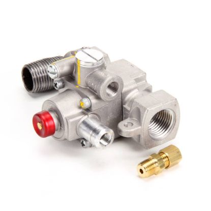 Picture of Blodgett Safety Valve Assembly Part# 19323