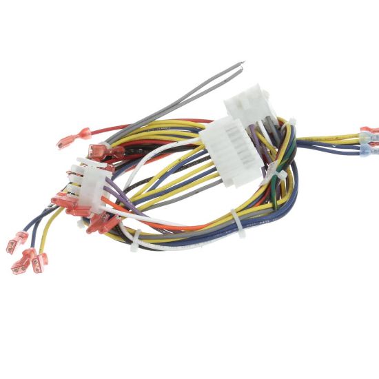 Picture of Blodgett Harness Iq Ctrl Ctbkfc Part# 34435