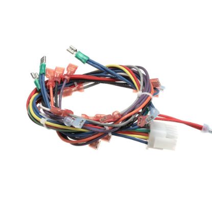 Picture of Blodgett Harness Wiring - Ctb/r Pro-3 Part# 34411