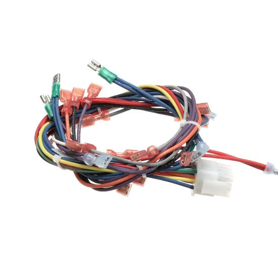 Picture of Blodgett Harness Wiring - Ctb/r Pro-3 Part# 34411
