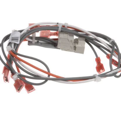 Picture of Blodgett Harness Sh1g/ab Contro L 24V Part# 39234