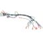 Picture of Blodgett Harness Cntl Sh1g/zephg 2Spd Part# 39235