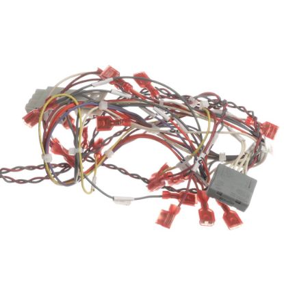 Picture of Blodgett Harness Rear Part# 39236