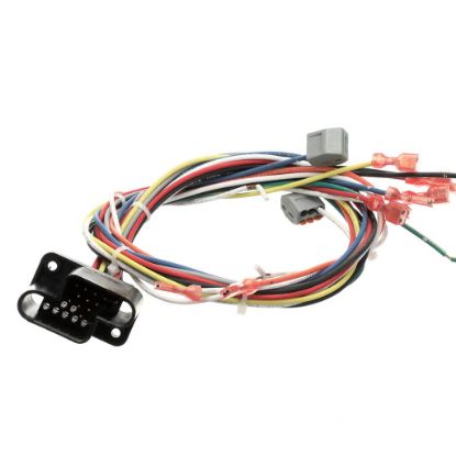 Picture of Blodgett Harness Wiring Rear Part# 39835
