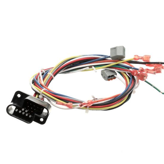 Picture of Blodgett Harness Wiring Rear Part# 39835