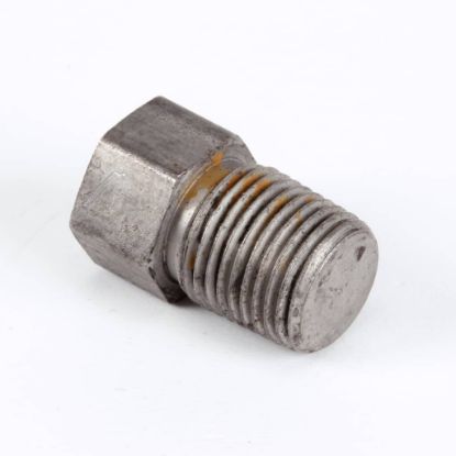 Picture of Blodgett Plug Pipe 1/8 Steel Part# 4872