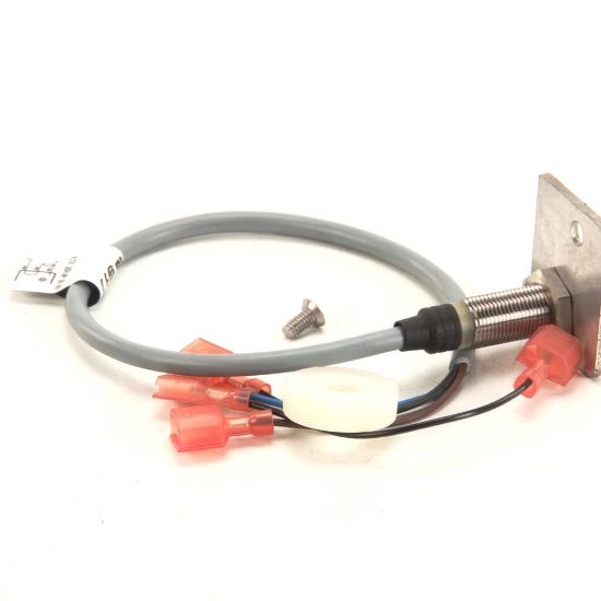Picture of Blodgett Door Switch Kit Part# 54280