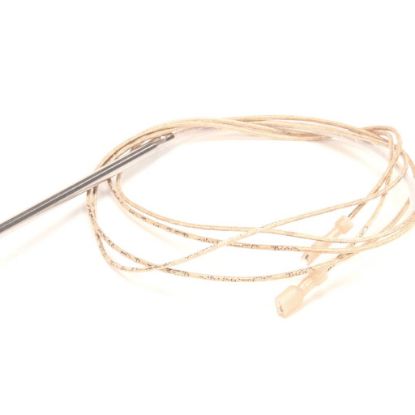 Picture of Blodgett Probe Temperature Part# 57562