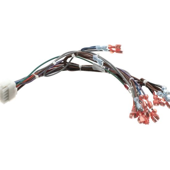 Picture of Blodgett Harness,frt Neeo Man Part# 57481
