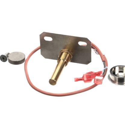 Picture of Blodgett Kit Door Switch Upgd W/ Secur Part# 58709
