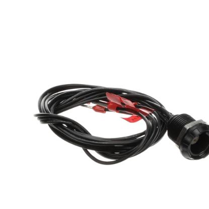 Picture of Blodgett Socket Core Probe Part# 60899