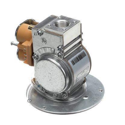 Picture of Blodgett Valve Gas 115V Part# 61398