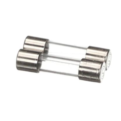 Picture of Blodgett Fuses F2 2A 2 Pcs Part# 61613